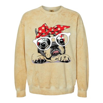 Cute French Bulldog Colorful Headband And Glasses Colorblast Crewneck Sweatshirt