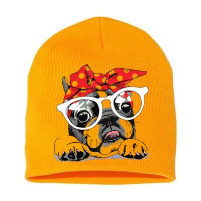 Cute French Bulldog Colorful Headband And Glasses Short Acrylic Beanie