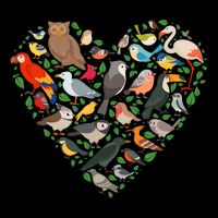 Cute Funny Bird Lover Heart City Backpack