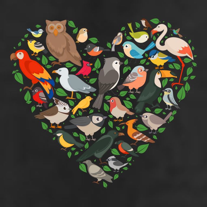 Cute Funny Bird Lover Heart 25L Jumbo Tote