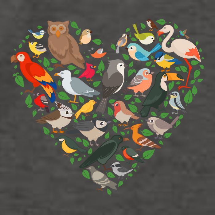 Cute Funny Bird Lover Heart Vector Backpack