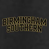 College Fever Birmingham Southern College 02 7 Panel Mesh Trucker Snapback Hat