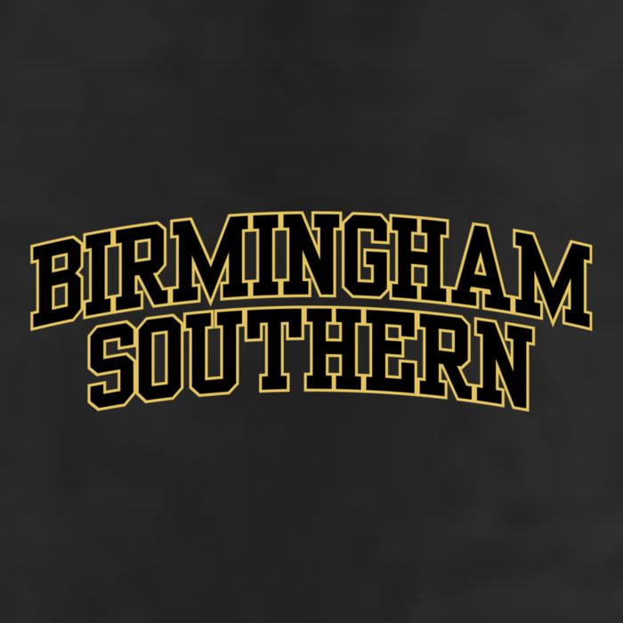 College Fever Birmingham Southern College 02 7 Panel Mesh Trucker Snapback Hat