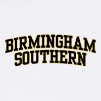 College Fever Birmingham Southern College 02 11oz C Handle Ceramic Mug