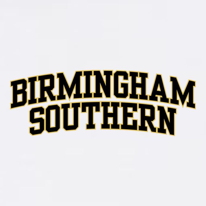 College Fever Birmingham Southern College 02 11oz C Handle Ceramic Mug