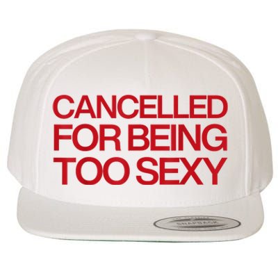 Cancelled For Being Too Sexy Wool Snapback Cap