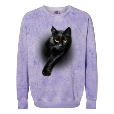 Cute Funny Black Cat Yellow Eyes T Cats Colorblast Crewneck Sweatshirt