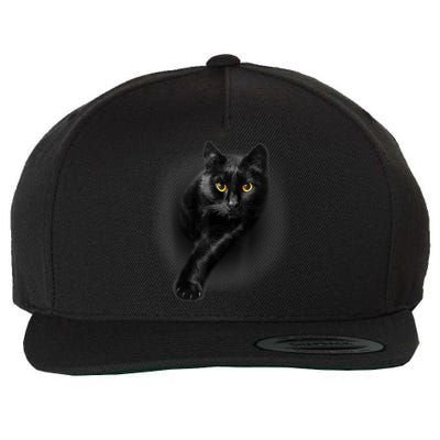 Cute Funny Black Cat Yellow Eyes T Cats Wool Snapback Cap