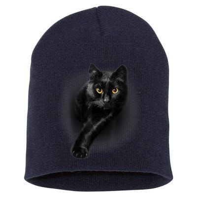 Cute Funny Black Cat Yellow Eyes T Cats Short Acrylic Beanie