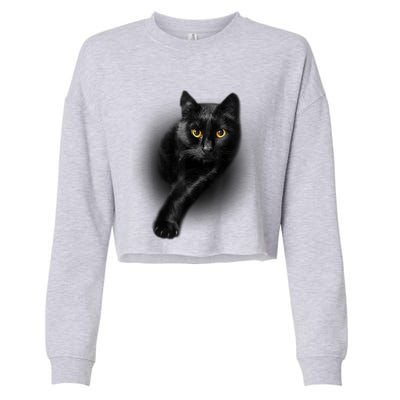 Cute Funny Black Cat Yellow Eyes T Cats Cropped Pullover Crew