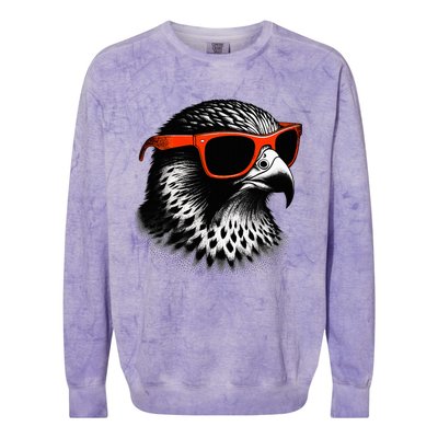 Cool Falcon Bird Wearing Sunglasses Graphic Art Colorblast Crewneck Sweatshirt