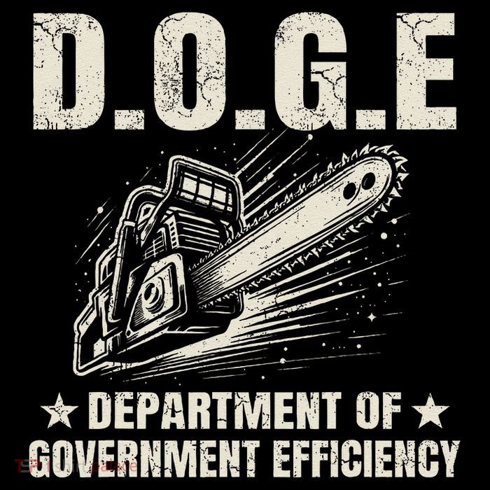 Chainsaw For Bureaucracy Funny D.O.G.E Doge Usa Flag 7-Panel Snapback Hat