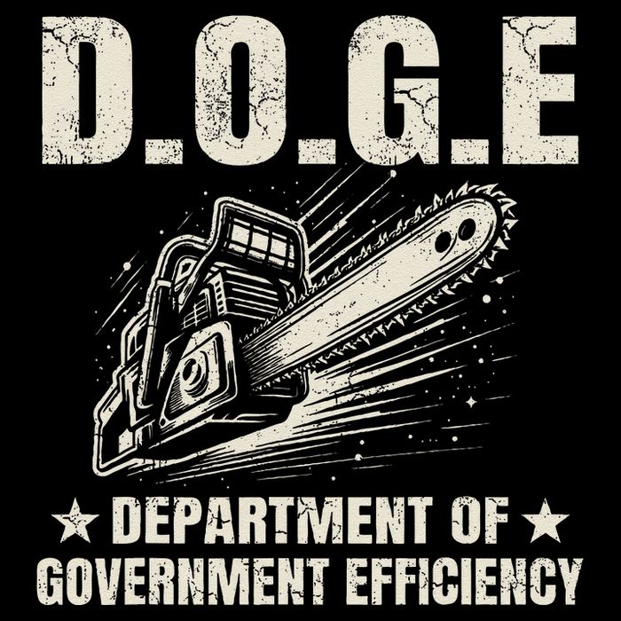 Chainsaw For Bureaucracy Funny D.O.G.E Doge Usa Flag Flat Bill Trucker Hat