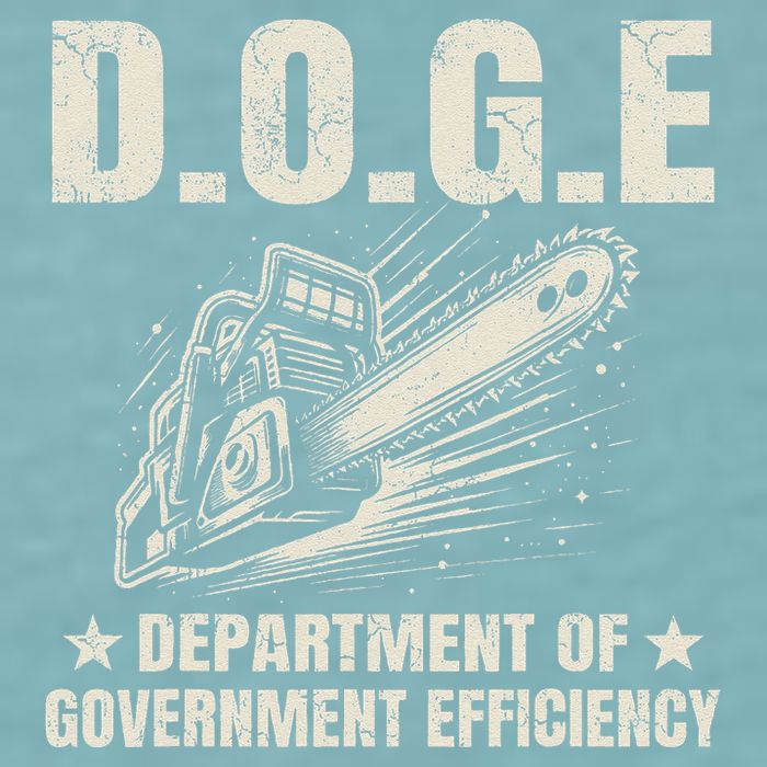 Chainsaw For Bureaucracy Funny D.O.G.E Doge Usa Flag Sueded Cloud Jersey T-Shirt