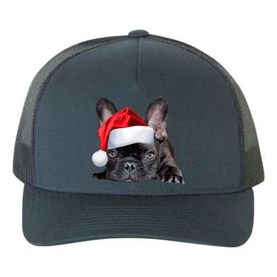 Cute French Bulldog Santa Hat Frenchie Image Christmas Gift Funny Gift Yupoong Adult 5-Panel Trucker Hat