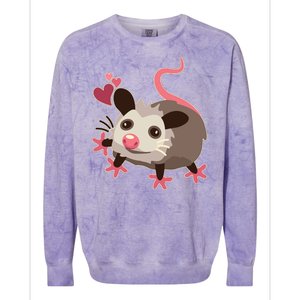 Cute Funny Baby Opossum Colorblast Crewneck Sweatshirt