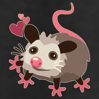 Cute Funny Baby Opossum Adult Drive Performance Visor