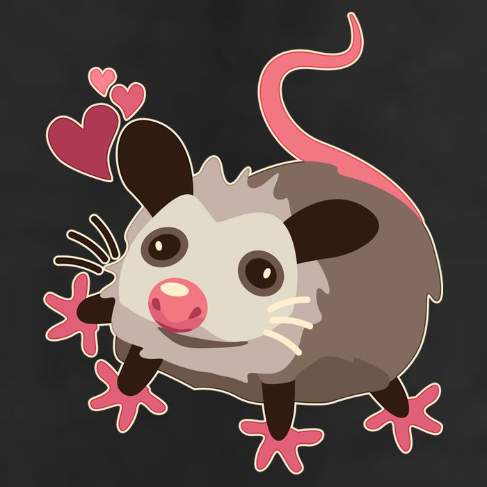 Cute Funny Baby Opossum Adult Drive Performance Visor