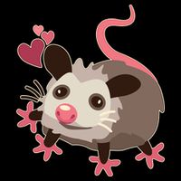 Cute Funny Baby Opossum Wool Snapback Cap