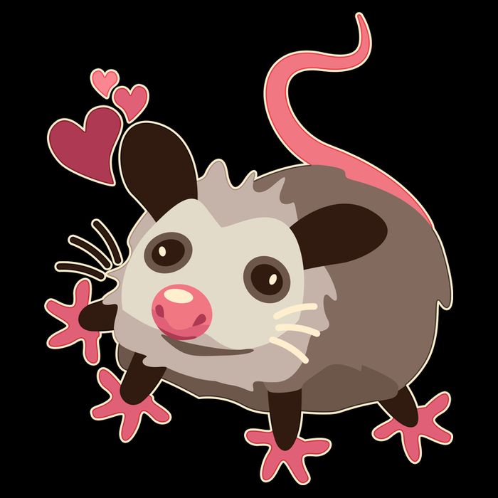 Cute Funny Baby Opossum Wool Snapback Cap