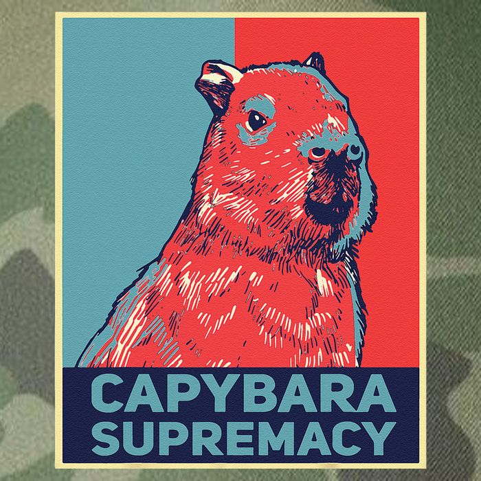 Capybaras Funny Capibara Rodent Things I Do In My Spare Time  Legacy Tie Dye Trucker Hat
