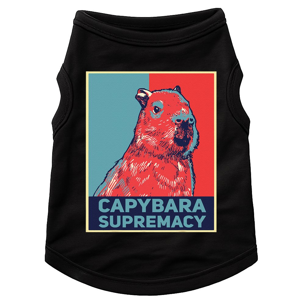 Capybaras Funny Capibara Rodent Things I Do In My Spare Time  Doggie Tank