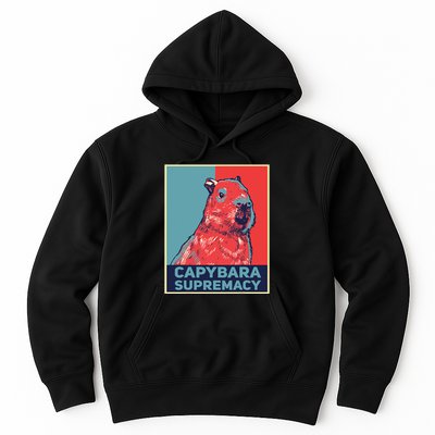 Capybaras Funny Capibara Rodent Things I Do In My Spare Time  Hoodie