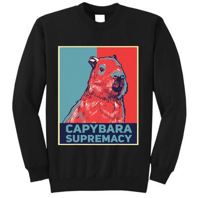 Capybaras Funny Capibara Rodent Things I Do In My Spare Time  Sweatshirt