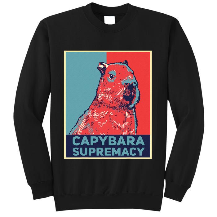 Capybaras Funny Capibara Rodent Things I Do In My Spare Time  Sweatshirt