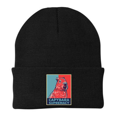 Capybaras Funny Capibara Rodent Things I Do In My Spare Time  Beanie