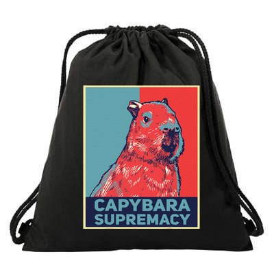 Capybaras Funny Capibara Rodent Things I Do In My Spare Time  Drawstring Bag
