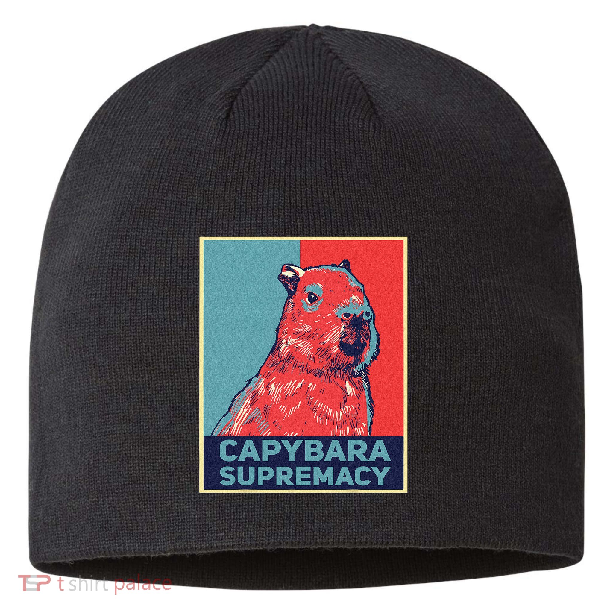 Capybaras Funny Capibara Rodent Things I Do In My Spare Time  Sustainable Beanie