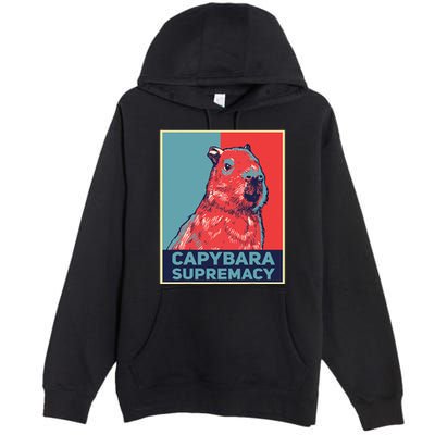 Capybaras Funny Capibara Rodent Things I Do In My Spare Time  Premium Pullover Hoodie