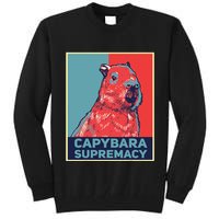 Capybaras Funny Capibara Rodent Things I Do In My Spare Time  Tall Sweatshirt