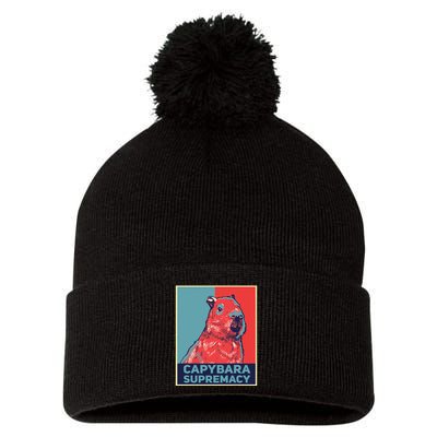 Capybaras Funny Capibara Rodent Things I Do In My Spare Time  Pom Pom 12in Knit Beanie