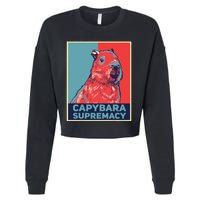 Capybaras Funny Capibara Rodent Things I Do In My Spare Time  Cropped Pullover Crew