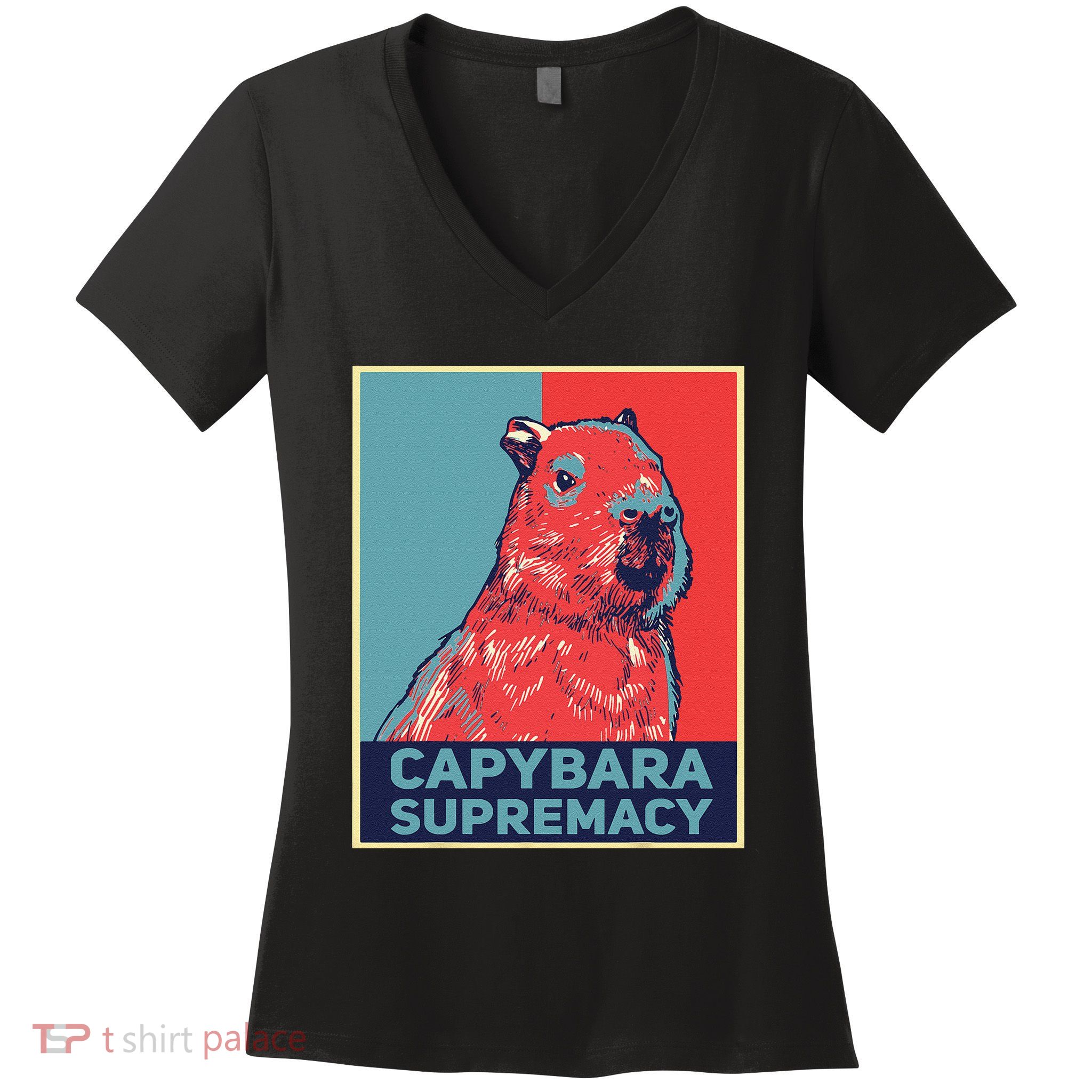 Capybaras Funny Capibara Rodent Things I Do In My Spare Time  Women's V-Neck T-Shirt