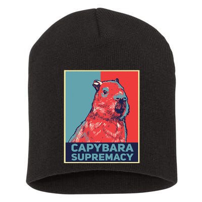 Capybaras Funny Capibara Rodent Things I Do In My Spare Time  Short Acrylic Beanie