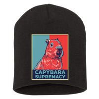 Capybaras Funny Capibara Rodent Things I Do In My Spare Time  Short Acrylic Beanie