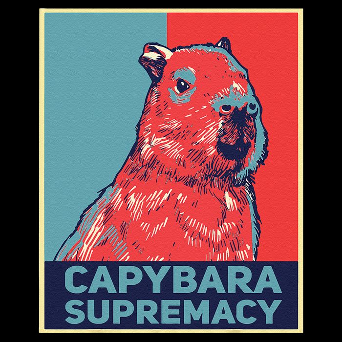 Capybaras Funny Capibara Rodent Things I Do In My Spare Time  Short Acrylic Beanie