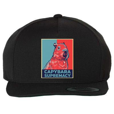 Capybaras Funny Capibara Rodent Things I Do In My Spare Time  Wool Snapback Cap
