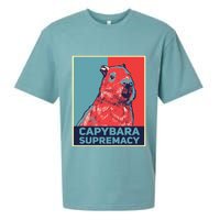 Capybaras Funny Capibara Rodent Things I Do In My Spare Time  Sueded Cloud Jersey T-Shirt
