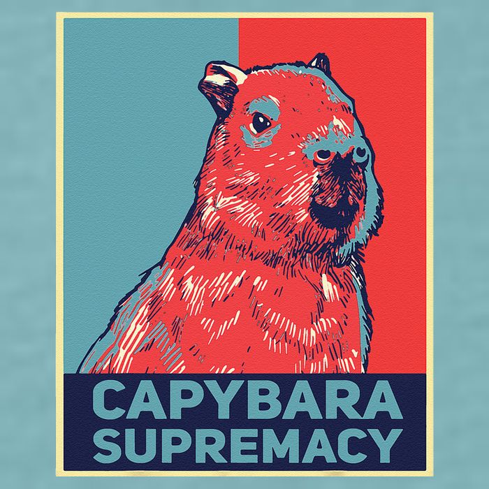 Capybaras Funny Capibara Rodent Things I Do In My Spare Time  Sueded Cloud Jersey T-Shirt