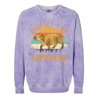 Capybara Funny Capybara Colorblast Crewneck Sweatshirt