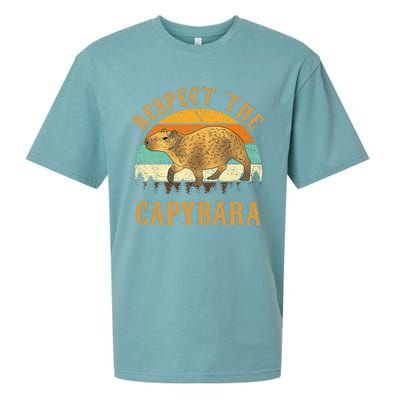 Capybara Funny Capybara Sueded Cloud Jersey T-Shirt