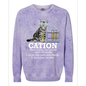 Cation Funny Chemistry Humor Science Teacher Cat Pun Gift Colorblast Crewneck Sweatshirt