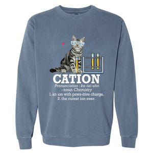 Cation Funny Chemistry Humor Science Teacher Cat Pun Gift Garment-Dyed Sweatshirt