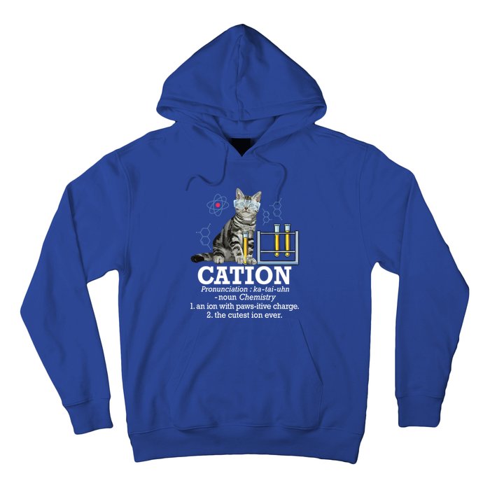 Cation Funny Chemistry Humor Science Teacher Cat Pun Gift Hoodie