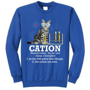 Cation Funny Chemistry Humor Science Teacher Cat Pun Gift Sweatshirt