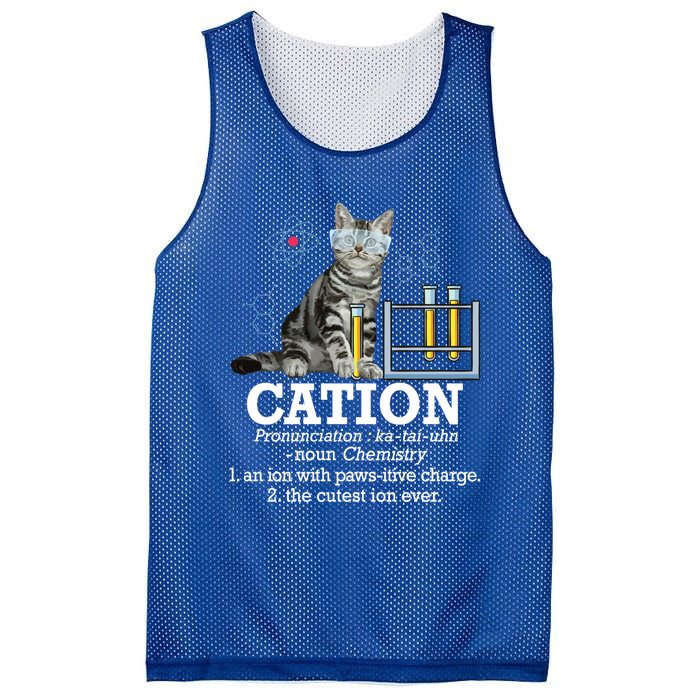 Cation Funny Chemistry Humor Science Teacher Cat Pun Gift Mesh Reversible Basketball Jersey Tank